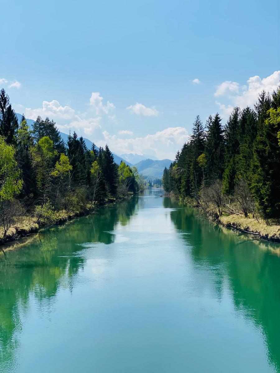 Ein ruhiger Fluss fließt durch einen Wald mit Bäumen und Bergen im Hintergrund.