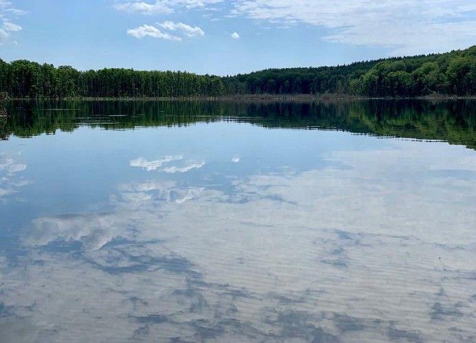 Stiller See mit Spiegelung des Himmels und Wald am Ufer.