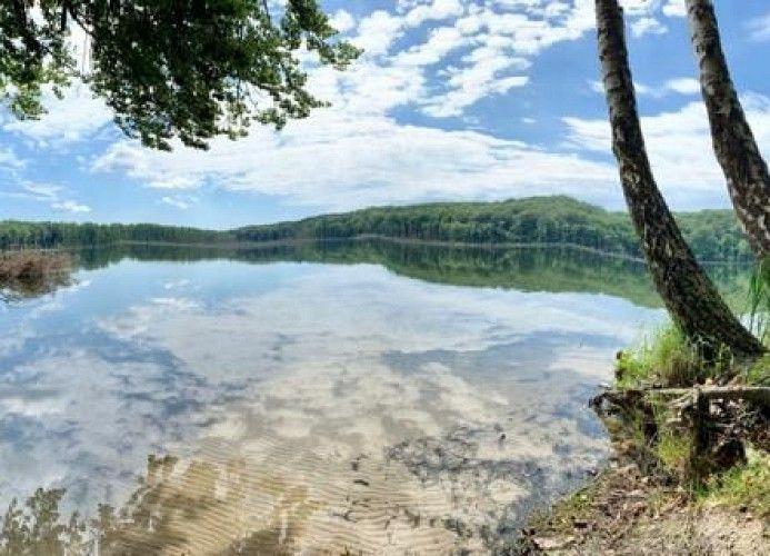 Stiller See mit Spiegelung des Himmels, umgeben von Bäumen und grüner Landschaft.