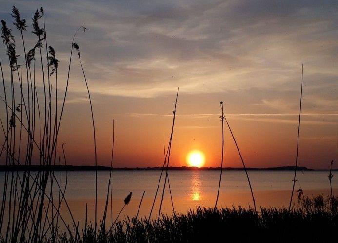 Sonnenuntergang über einem ruhigen See mit Schilf im Vordergrund.