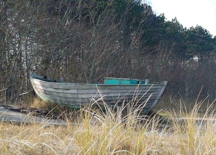 Ein hölzernes Boot steht im hohen Gras vor einem Wald.