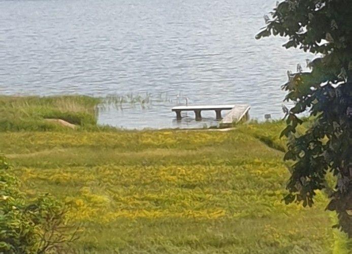 Ein hölzerner Steg führt zum Wasser. Gras und Bäume umgeben die Uferzone.