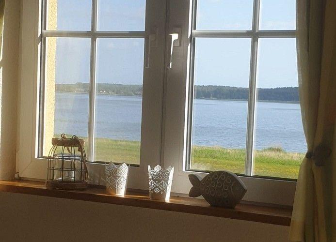Blick aus dem Fenster auf einen See mit Grasland und Wald im Hintergrund.