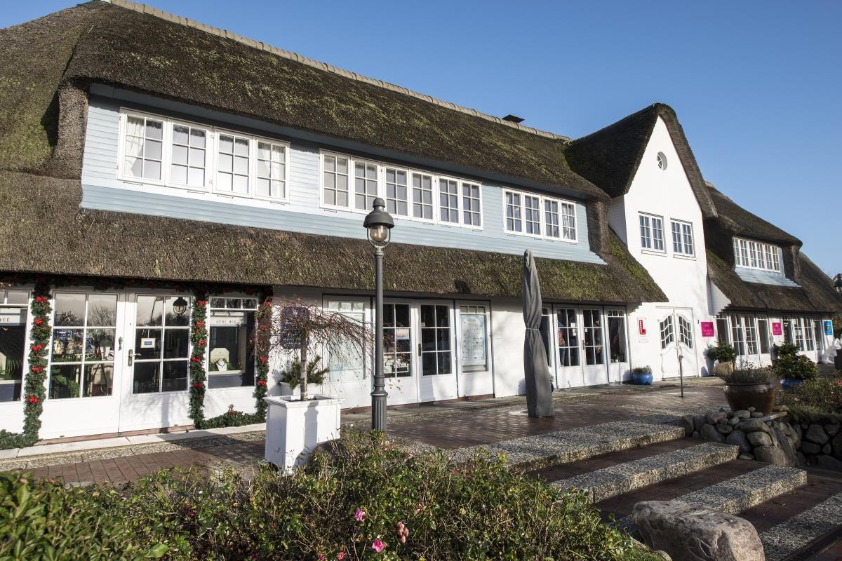 Holiday home with thatched roof and white windows. Front garden with plants and stone steps.