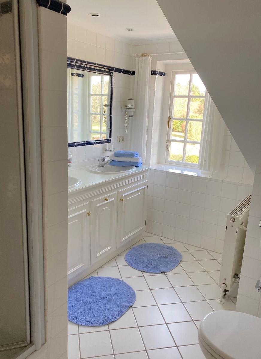 Bathroom with sink, mirror, window, and blue mats.
