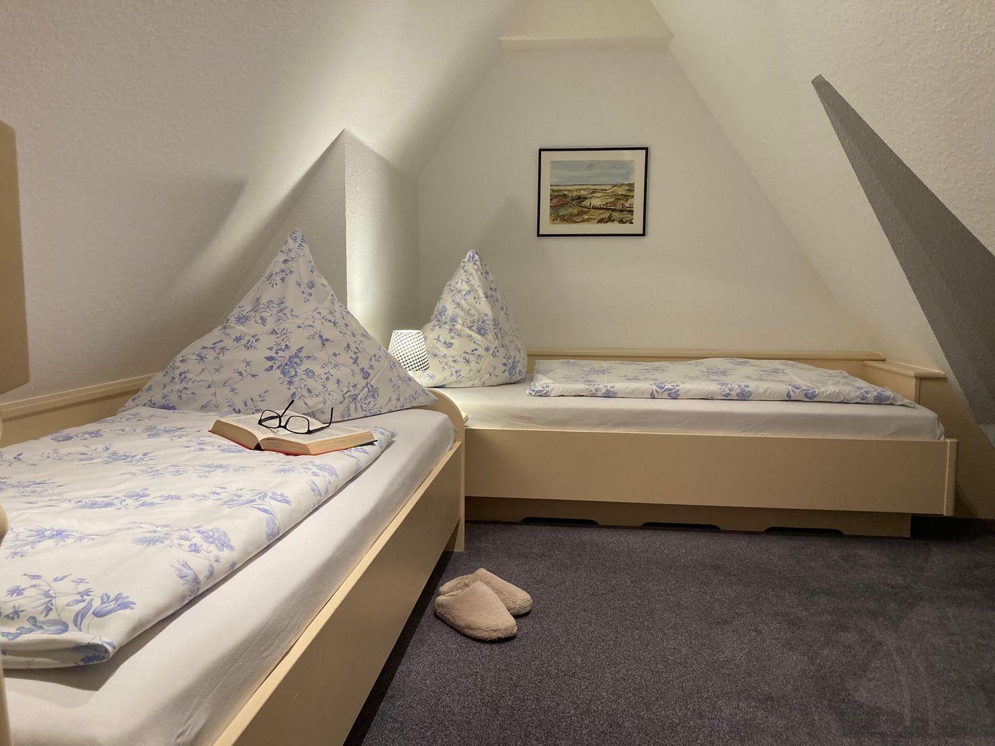 Two beds with blue-and-white bedding, wall picture, and slippers on carpet.