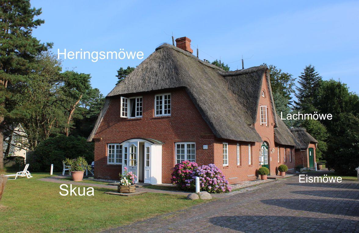 Red brick house with thatched roof, surrounded by greenery and flowers.