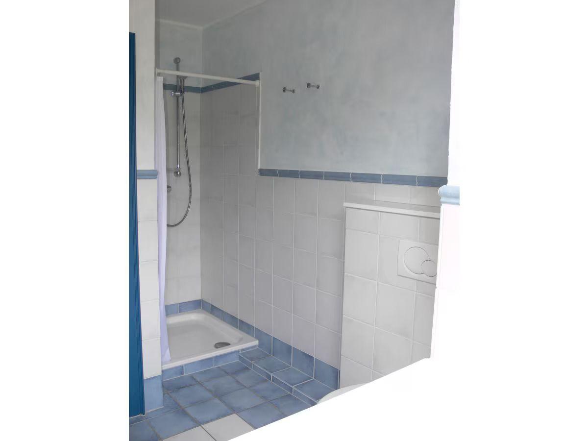 Shower cabin with showerhead, toilet, and blue-white tiled floor.
