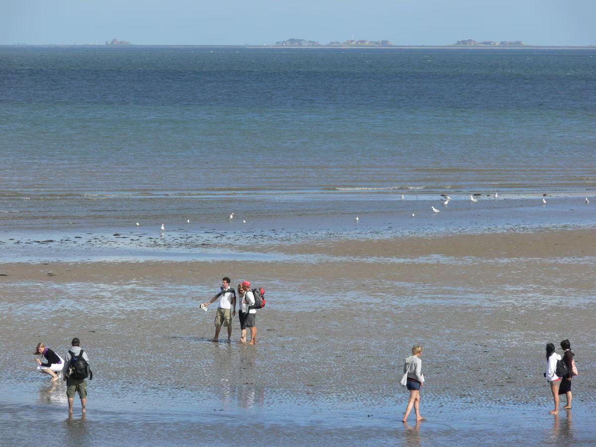 People stroll along the shore, while birds fly over the tidal flats.