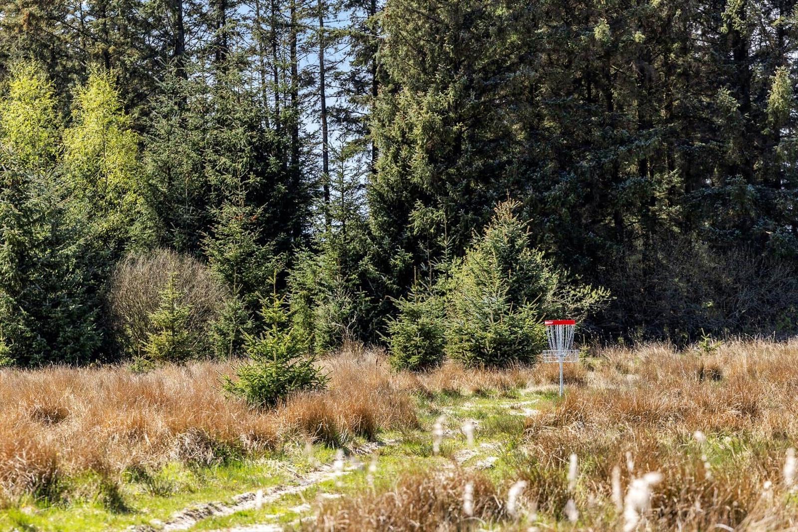 Disc golf basket in a wooded area with tall grass and trees.