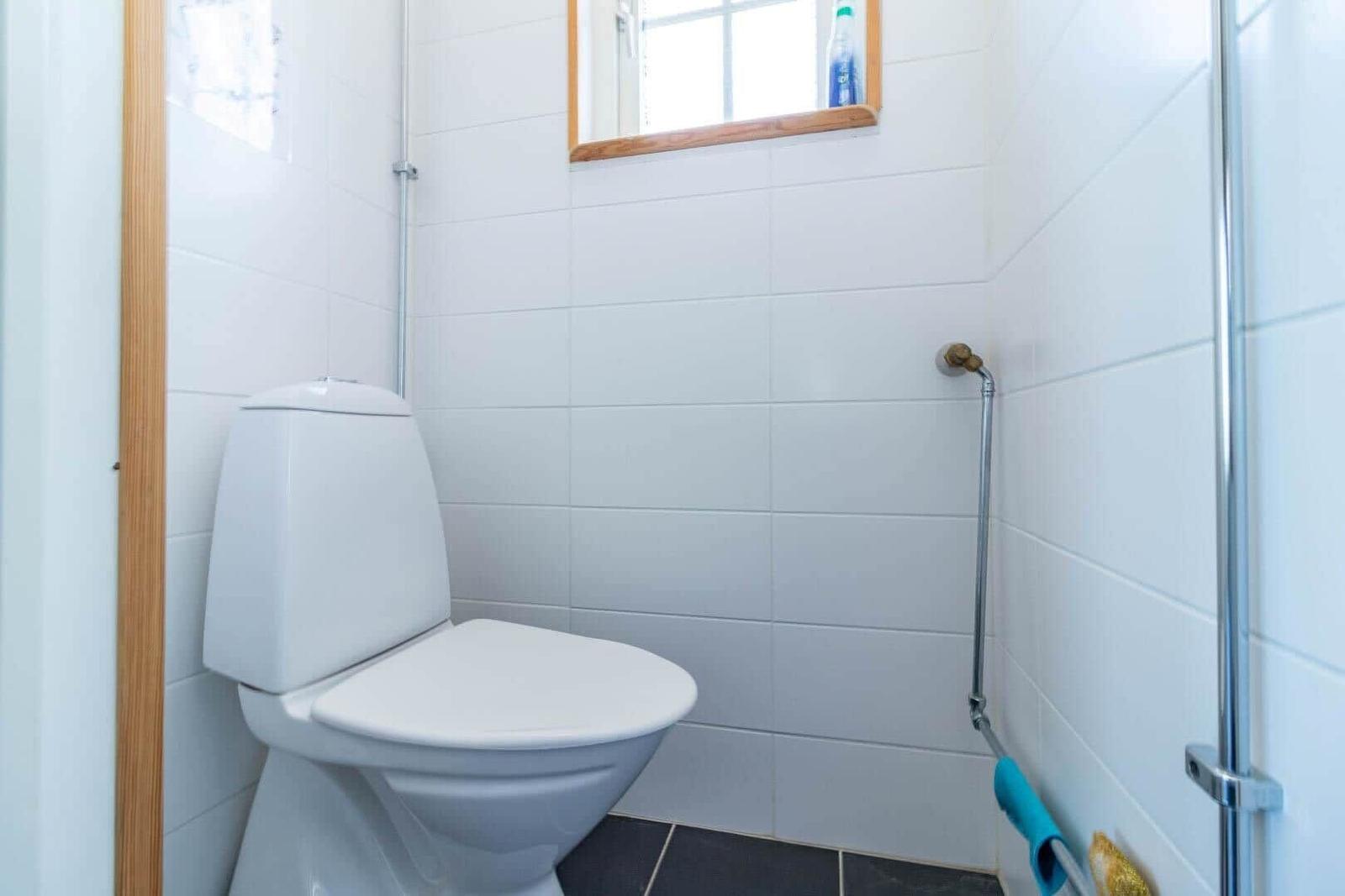 Toilette mit Duschwand und Fenster im Badezimmer