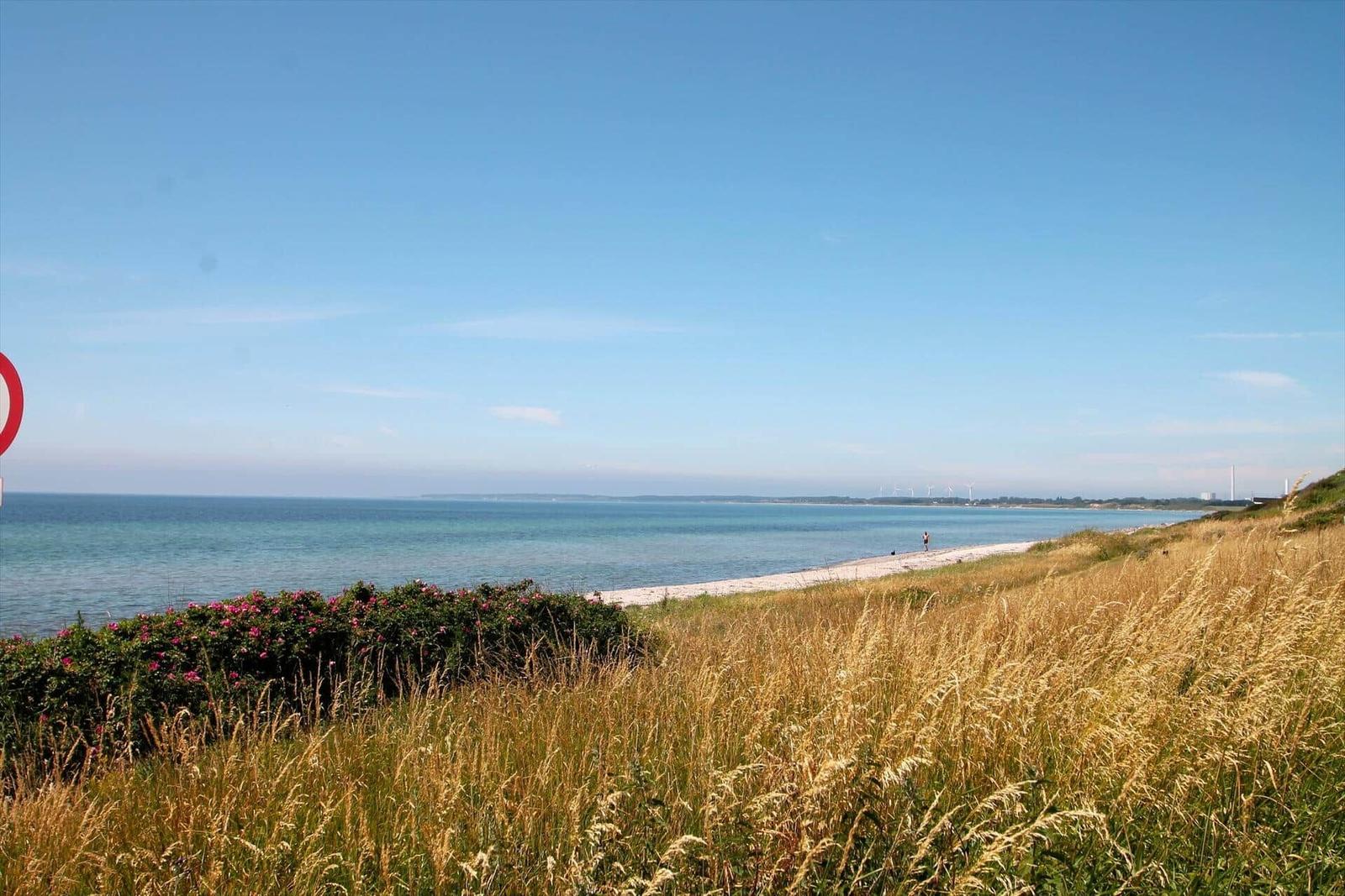 Strand mit Sandstrand und Meer, umgeben von hohem Gras und rosa Blumen.