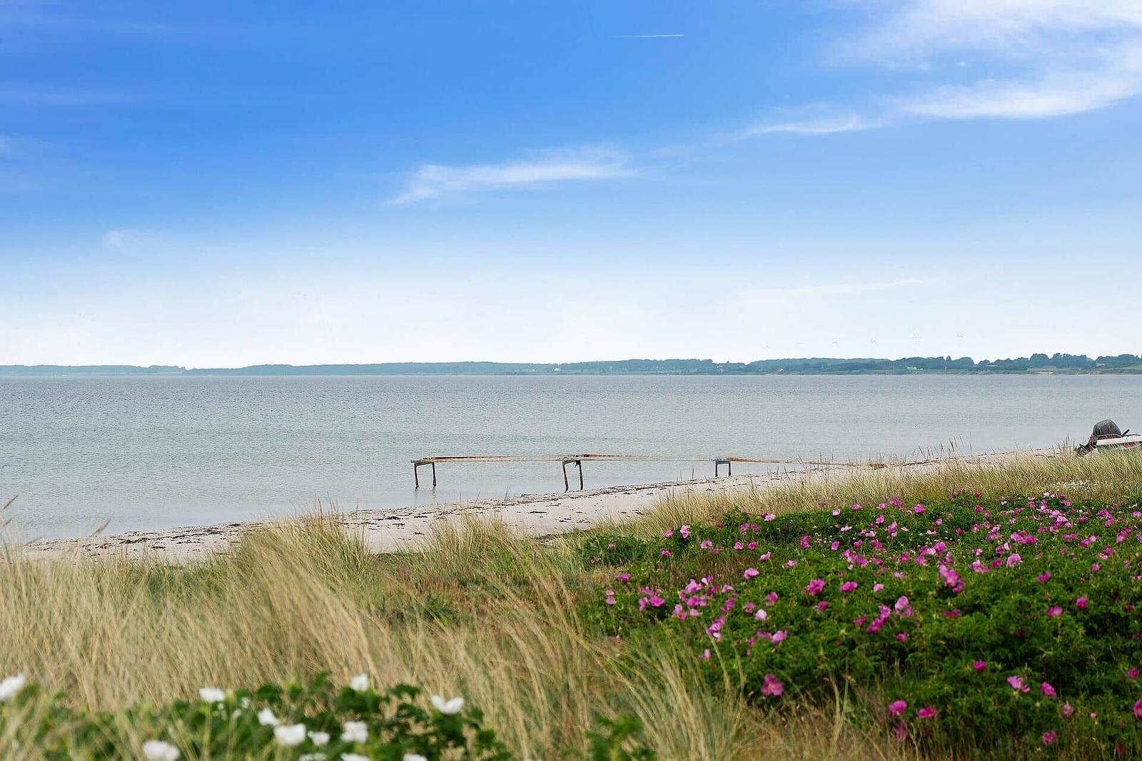 Strand mit Steg, Blumen und ruhigem Wasser unter blauem Himmel.