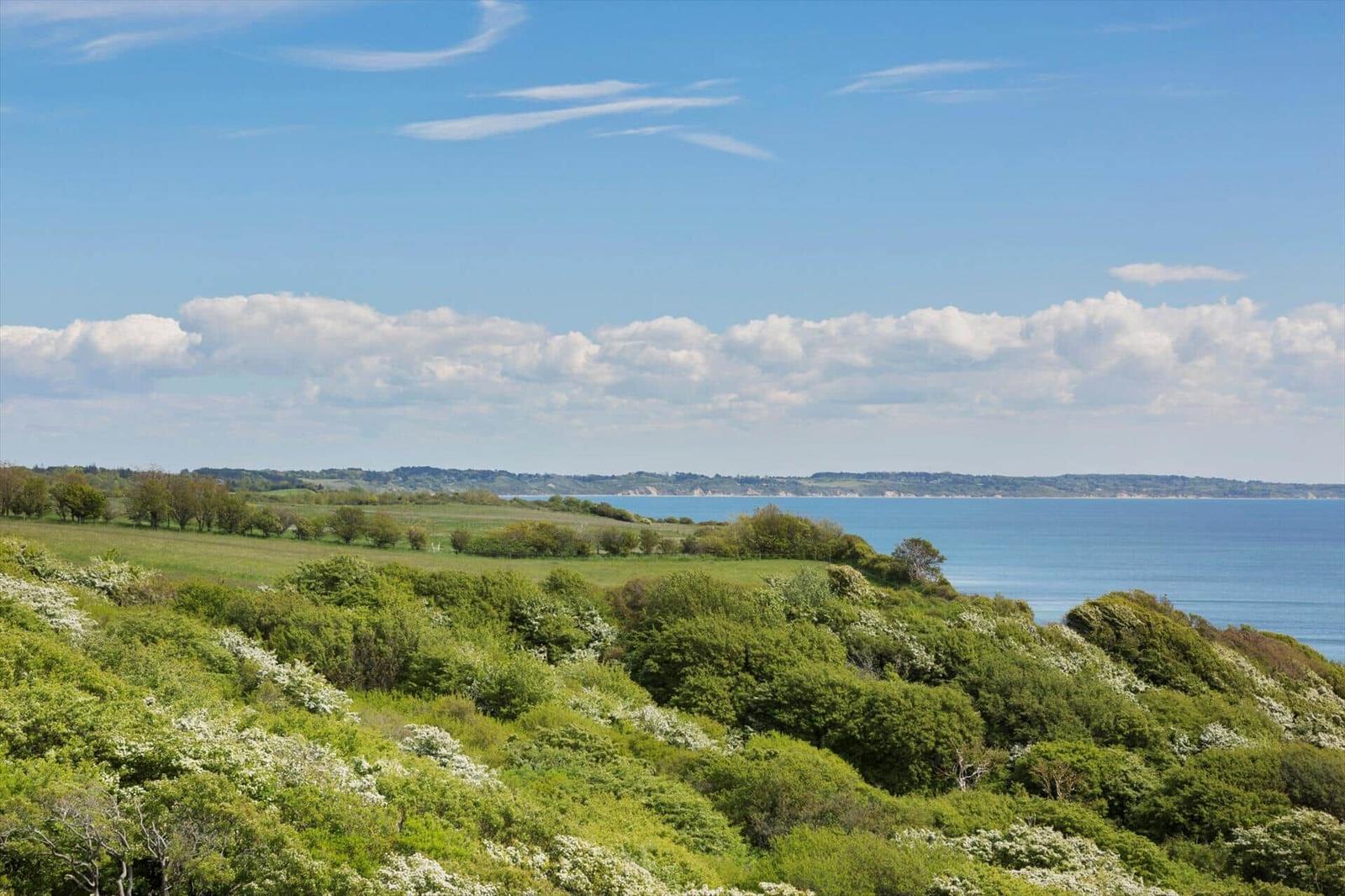 Green hillside with sea view under blue sky with white clouds.