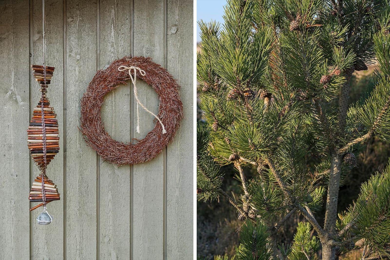 Holzdekoration und Kiefernzweige an einer Holzwand