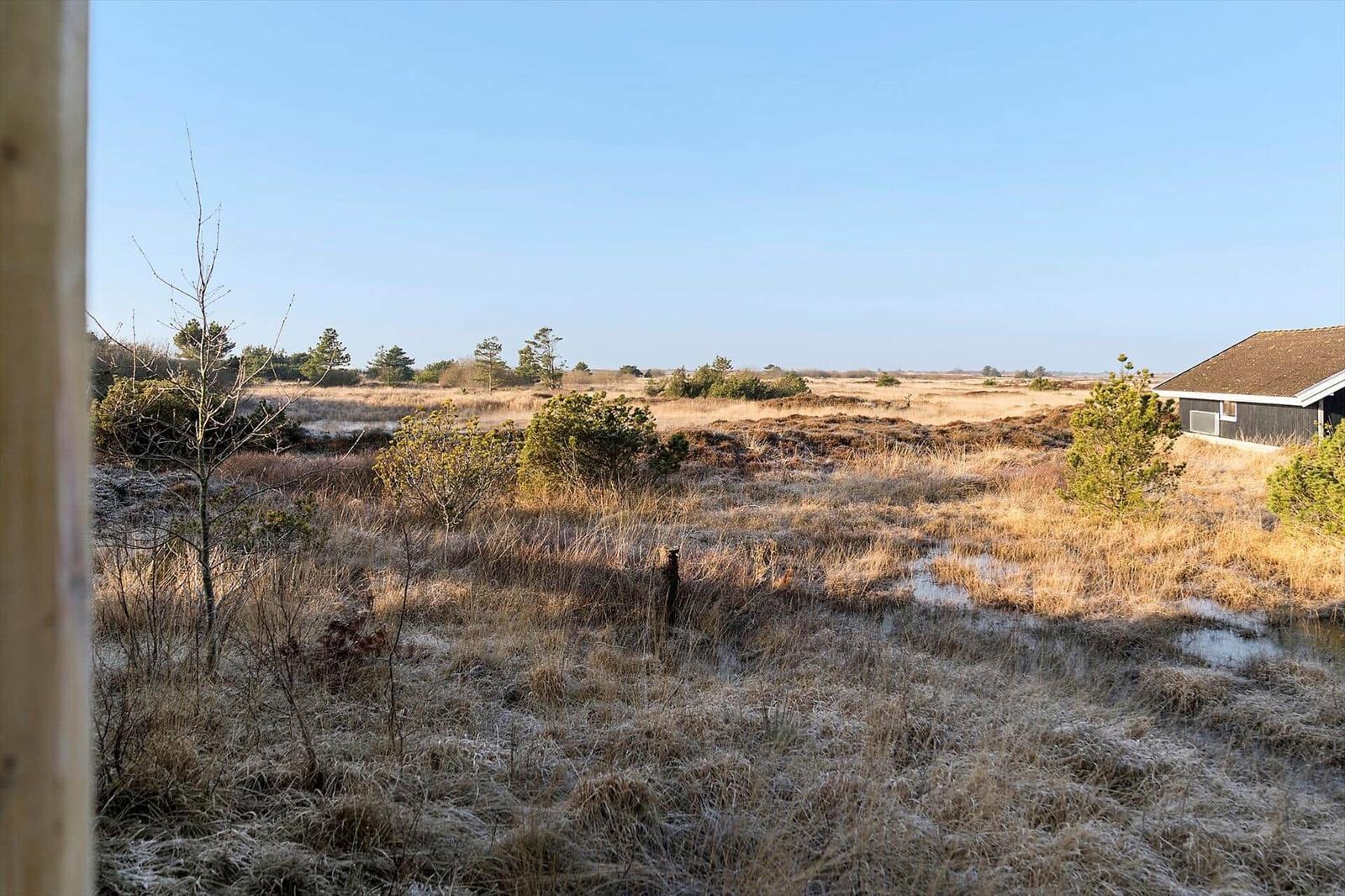 Weitläufiges Moor mit Gräsern und Bäumen. Ein Haus ist rechts sichtbar.