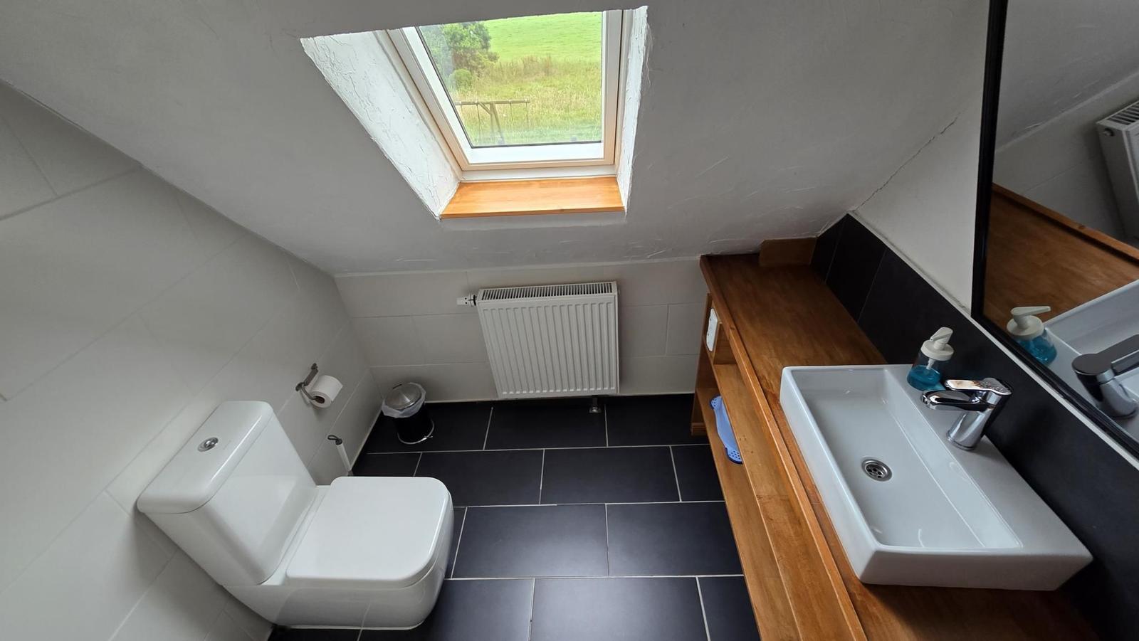 Badezimmer mit Toilette, Waschbecken und Dachfenster mit Blick auf Grünfläche.