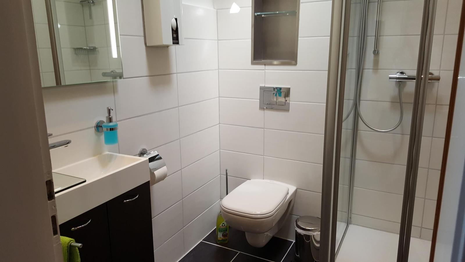 Badezimmer mit Dusche, Toilette und Waschbecken.