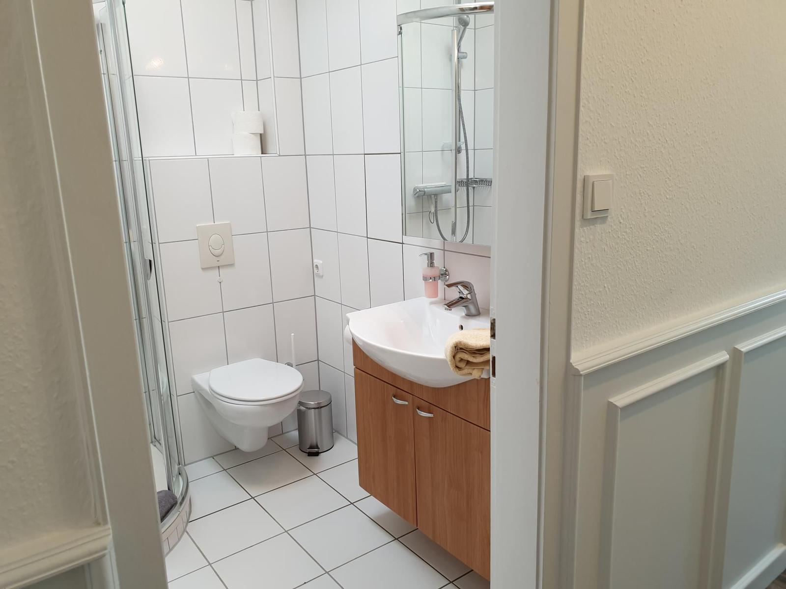 Bathroom with shower, toilet, and sink with mirror.