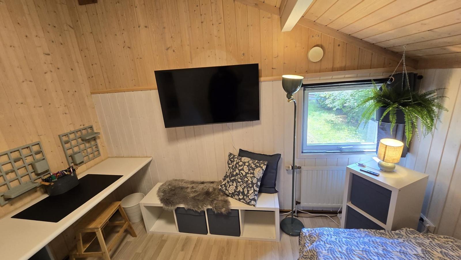 Zimmer mit TV, Schreibtisch, Bett und Fenster mit Pflanze.