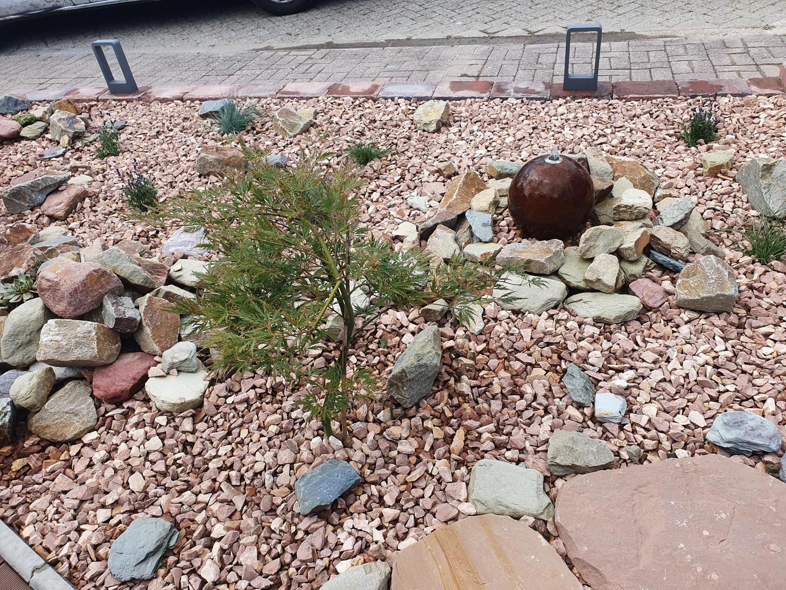 Garten mit Kies, Steinen und kleinem Baum. Zentraler runder Brunnen.