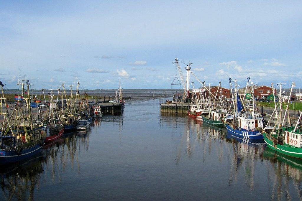 Hafen mit vielen Fischerbooten und einem Kräne im Hintergrund.