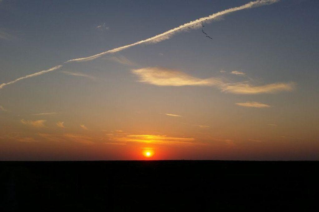 Sonnenuntergang mit Flugzeugspuren und Vögeln im Himmel.