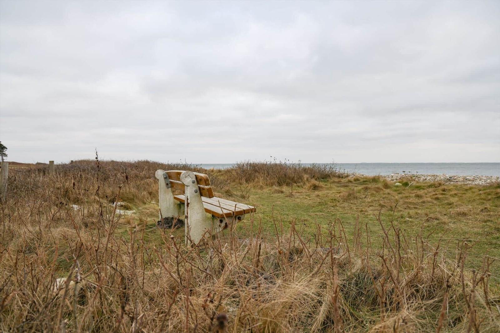 Eine Bank steht auf einer grasbewachsenen Düne mit Blick auf das Meer.