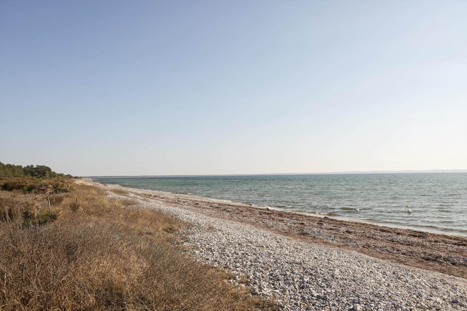 Steiniger Strand mit Seeufer und zwei Schwänen im Wasser.