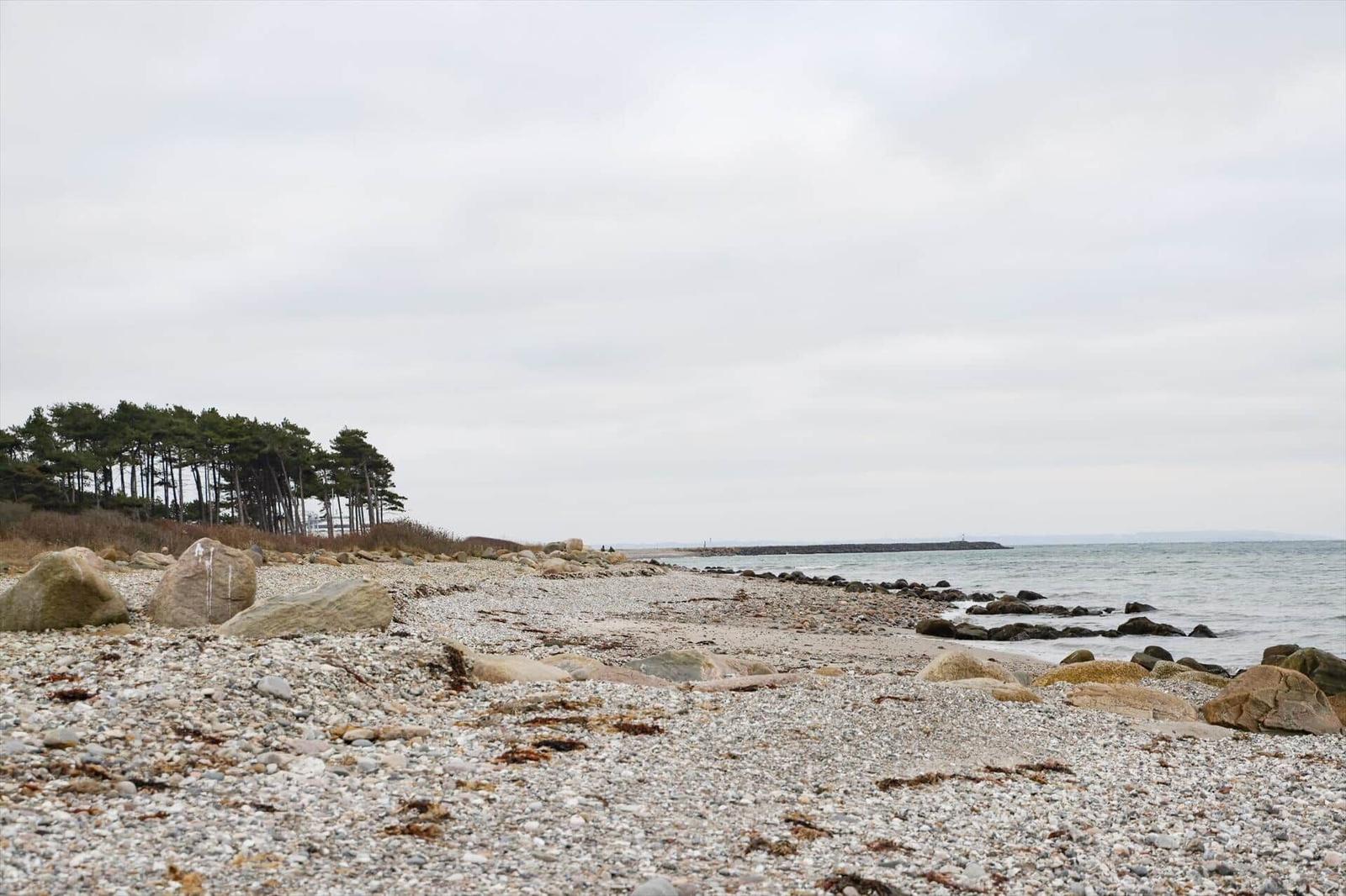 Steiniger Strand mit Bäumen und Meer im Hintergrund.