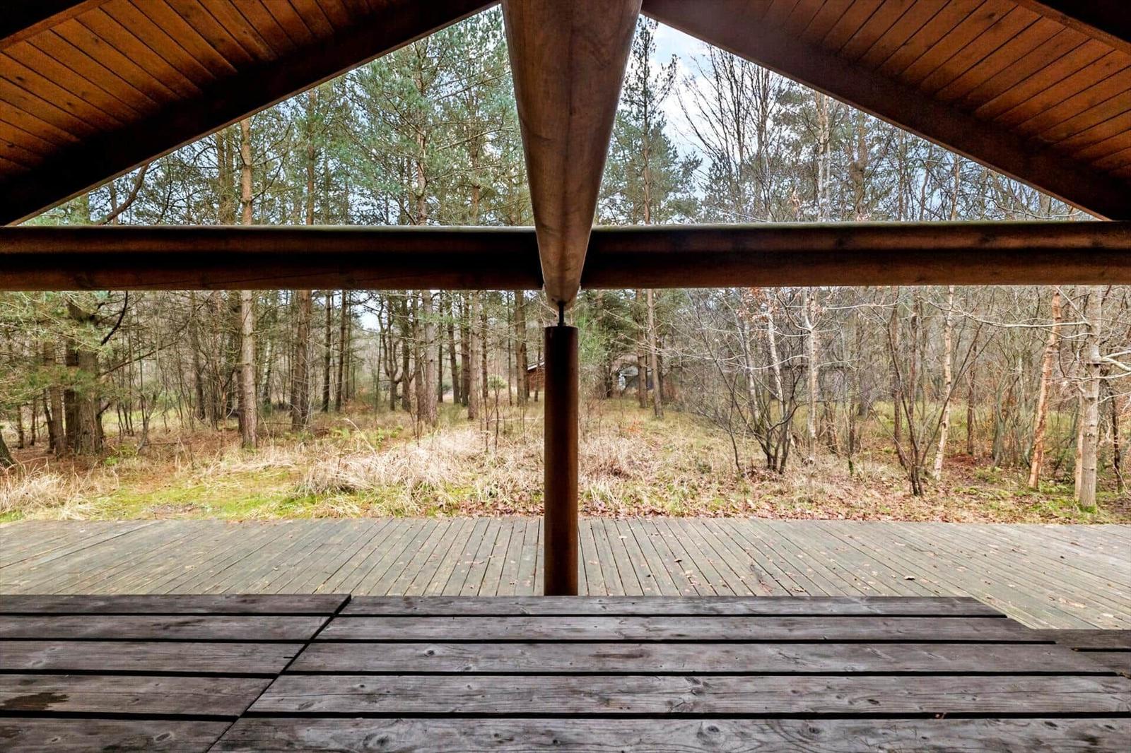 Holzterrasse mit Blick in den Wald. Sichtbar sind Bäume und Unterholz.