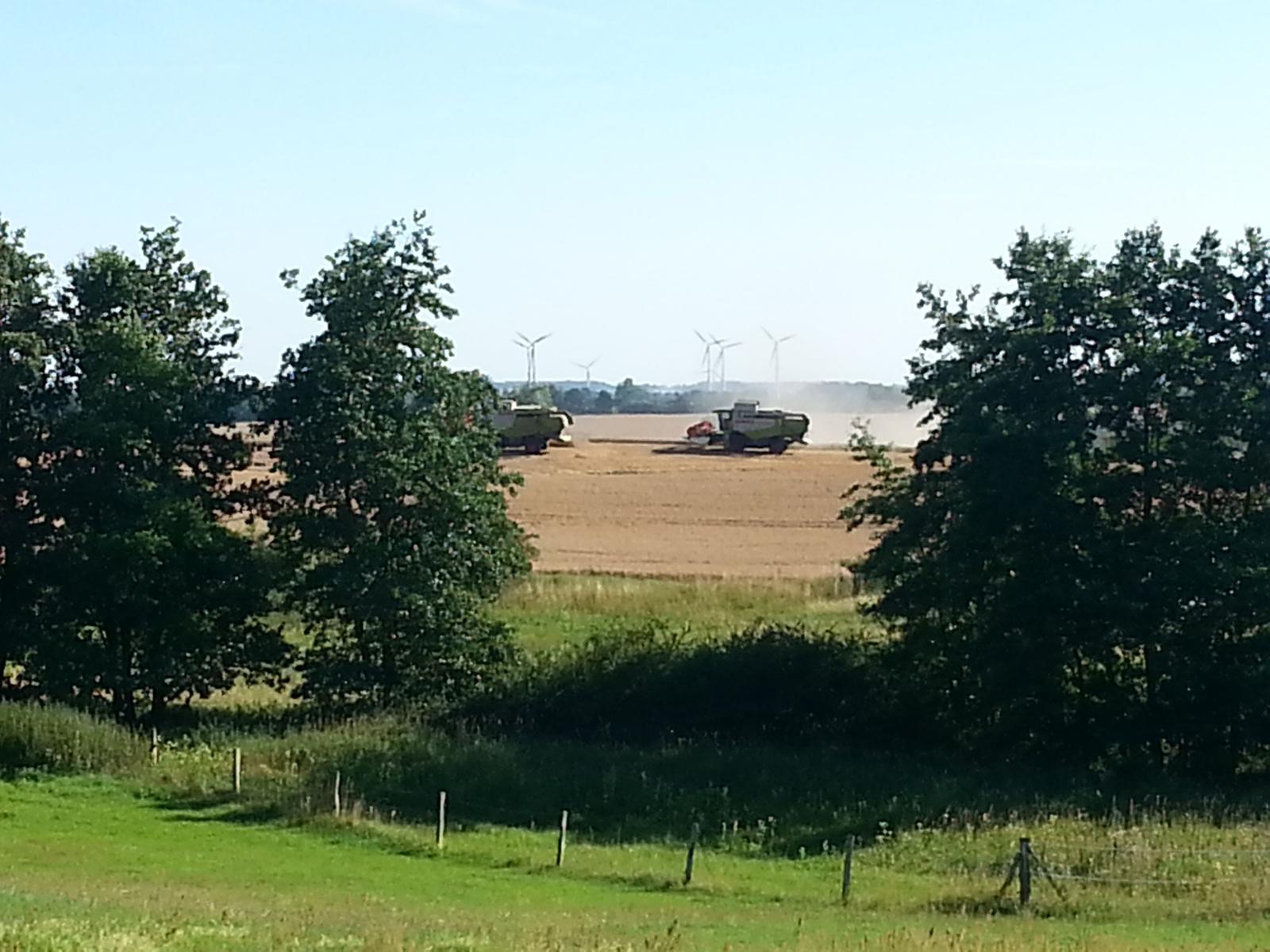 Blick vom Hof zur Erntezeit