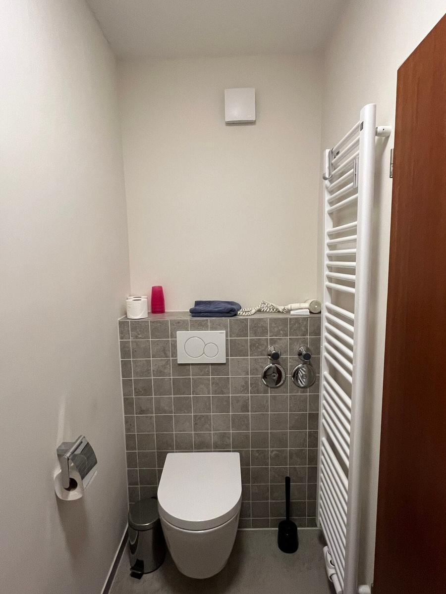 Badezimmer mit Toilette, Heizkörper und Duschbereich.