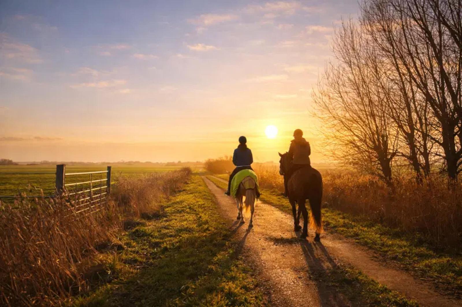 Zwei Personen reiten Pferde auf einem Feldweg bei Sonnenuntergang.