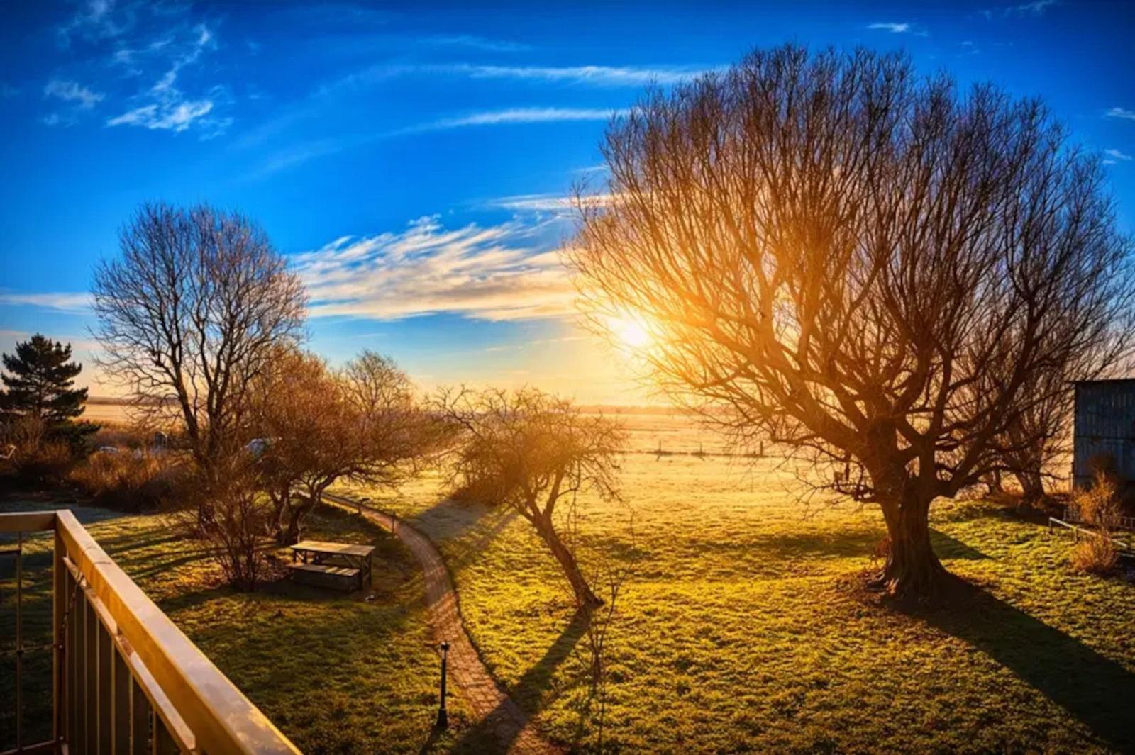 Blick auf einen sonnigen Feldweg mit Bäumen und einem Picknicktisch.