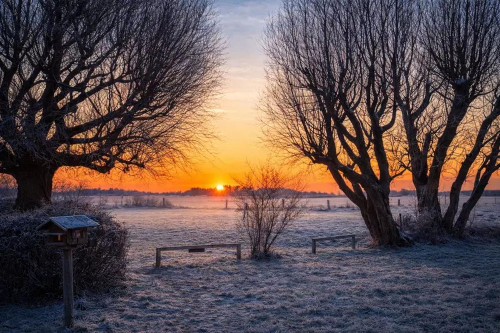 Frostiger Feldweg zwischen Bäumen bei Sonnenaufgang