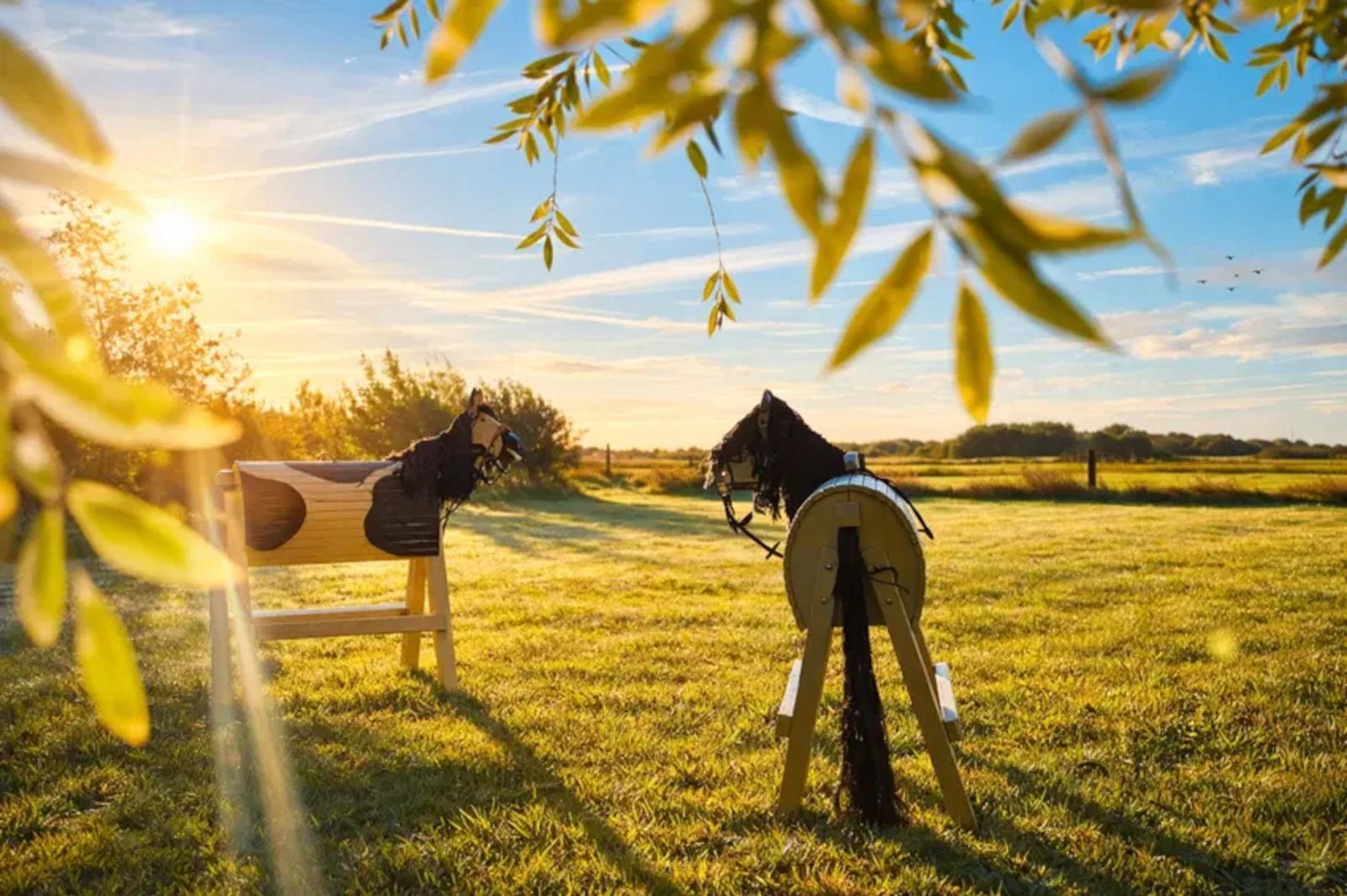 Zwei hölzerne Pferdefiguren stehen auf einer Wiese bei Sonnenuntergang.