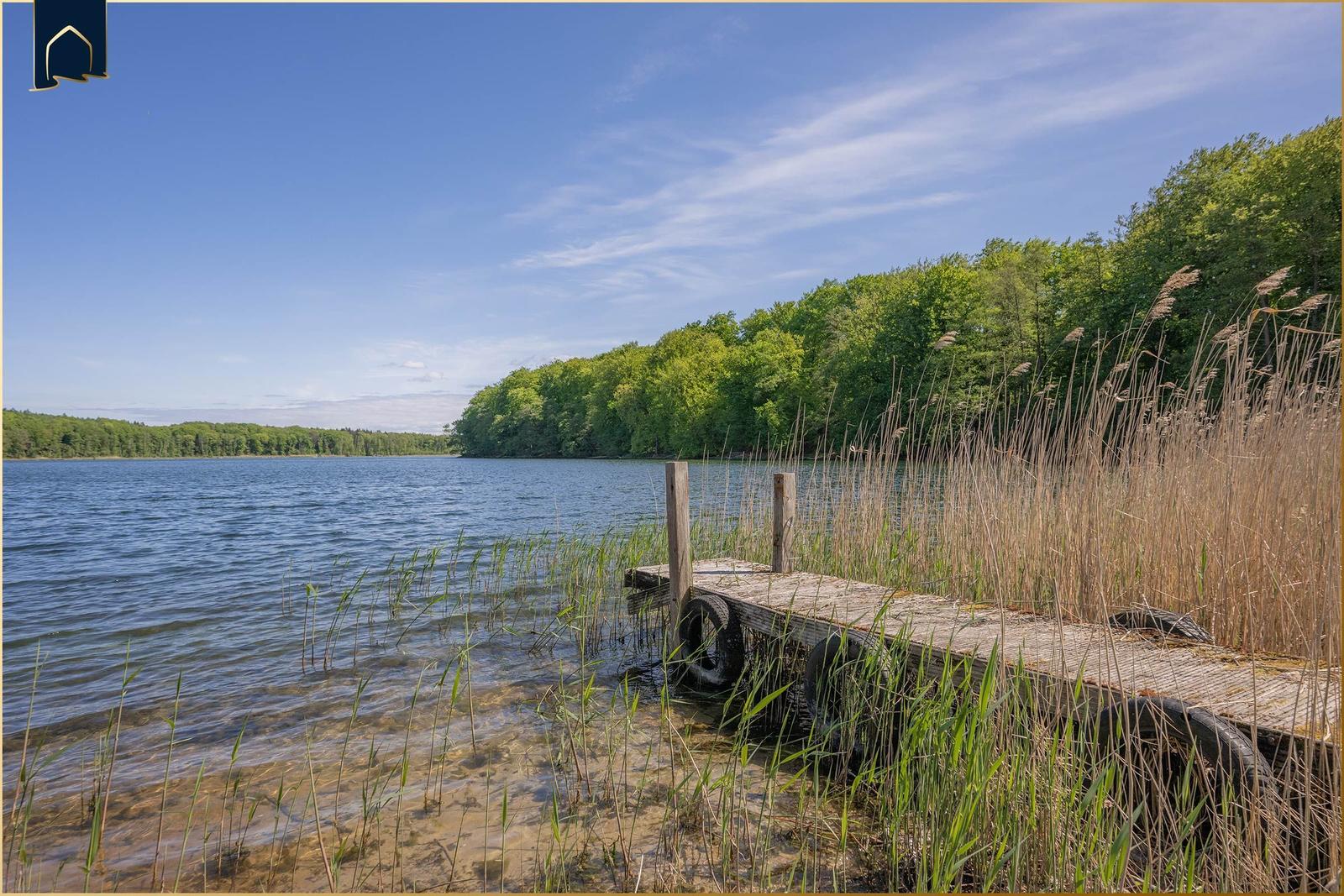 Holzsteg führt zum See. Umgeben von Gräsern und Wald.