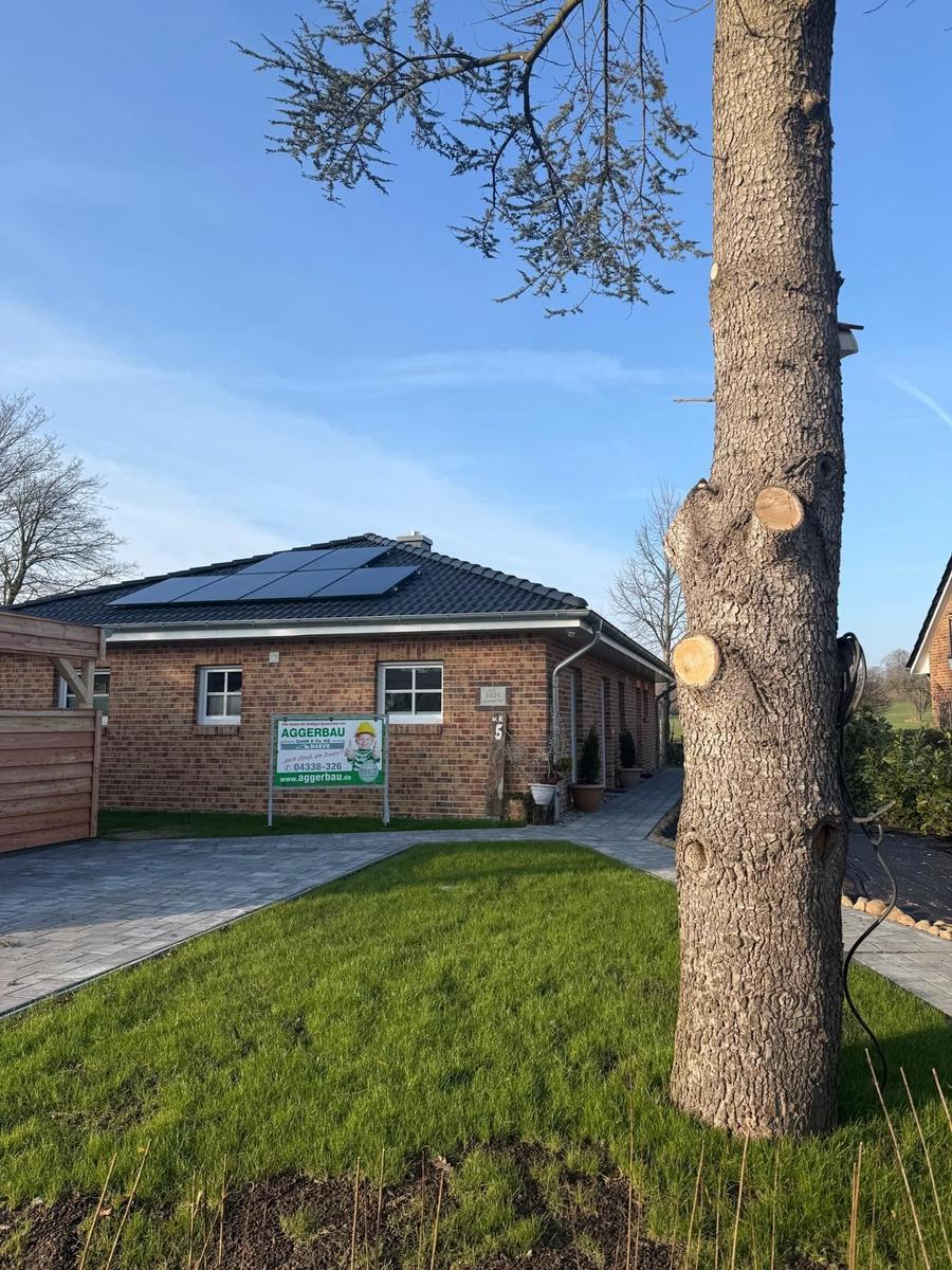 Ein Haus mit Solaranlage, grünem Rasen und einem großen Baum im Vorgarten.