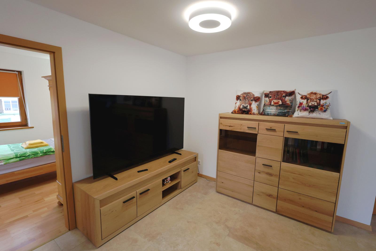 Wohnzimmer mit TV und Holzmöbeln. Drei Kissen mit Rindern stehen auf einem Schrank.