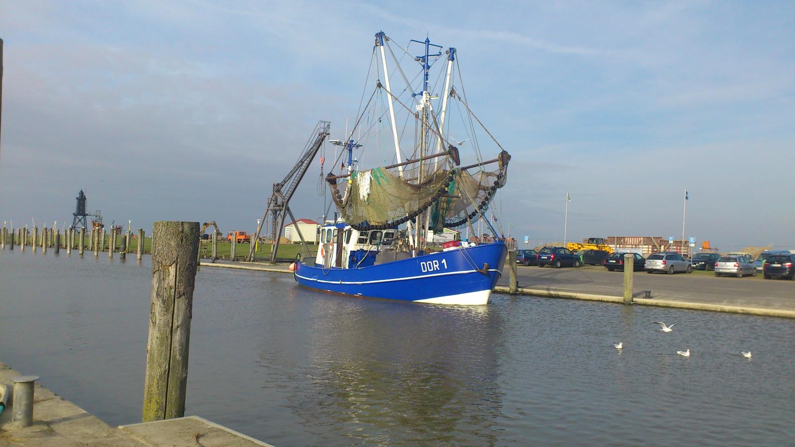 Blauer Fischerboot mit Netzen liegt im Hafen. Hintergrund: Parkplatz und Maschinen.