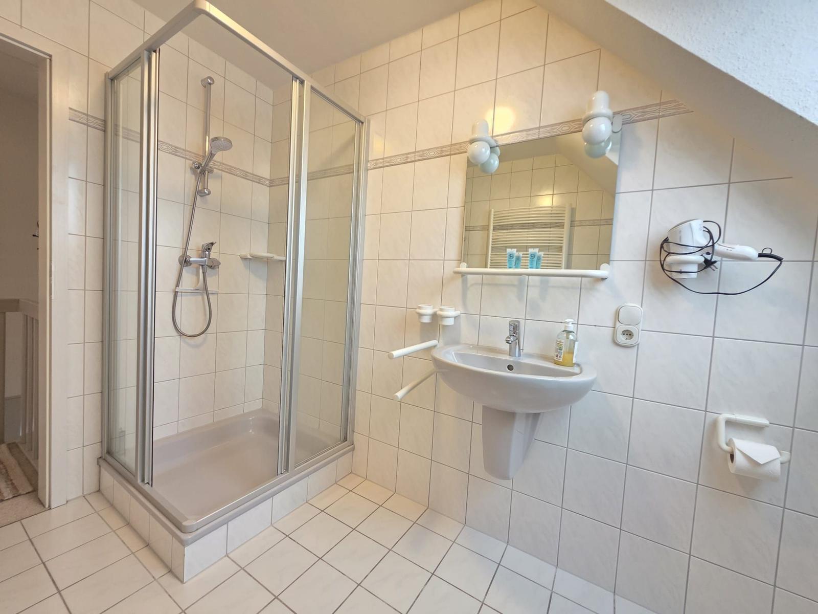 Bath with shower, sink and mirror