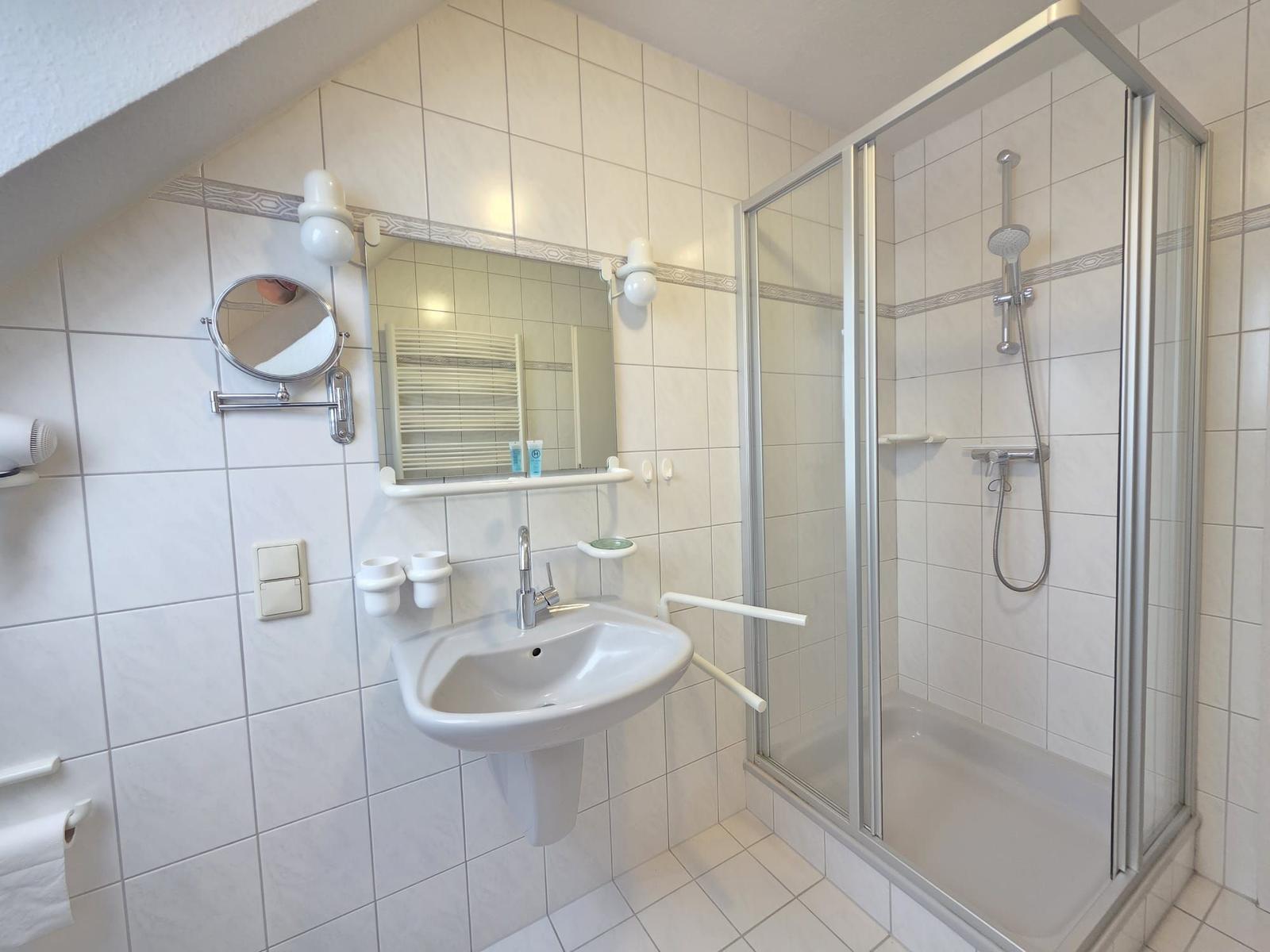 Bathroom with shower, sink, and mirror.