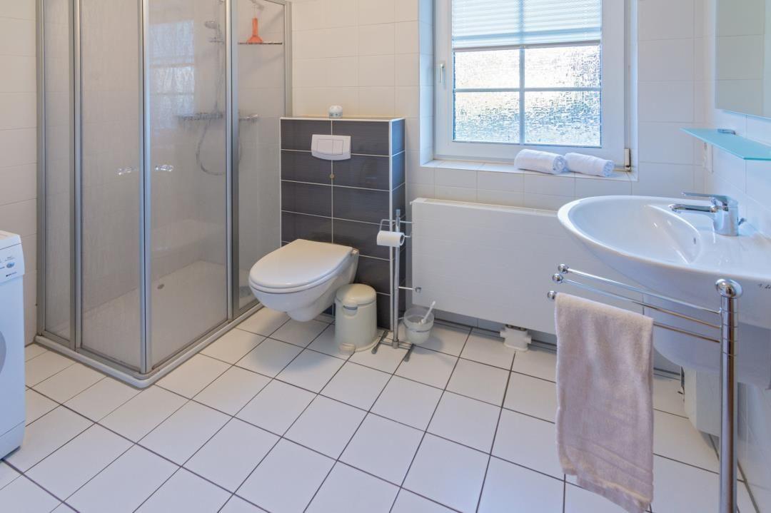 Badezimmer mit Dusche, Toilette und Waschbecken. Fenster und Handtuchhalter sichtbar.