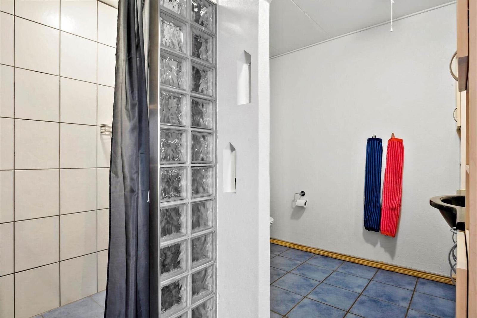 Bathroom with shower, toilet, and sink. Glass blocks separate shower area.