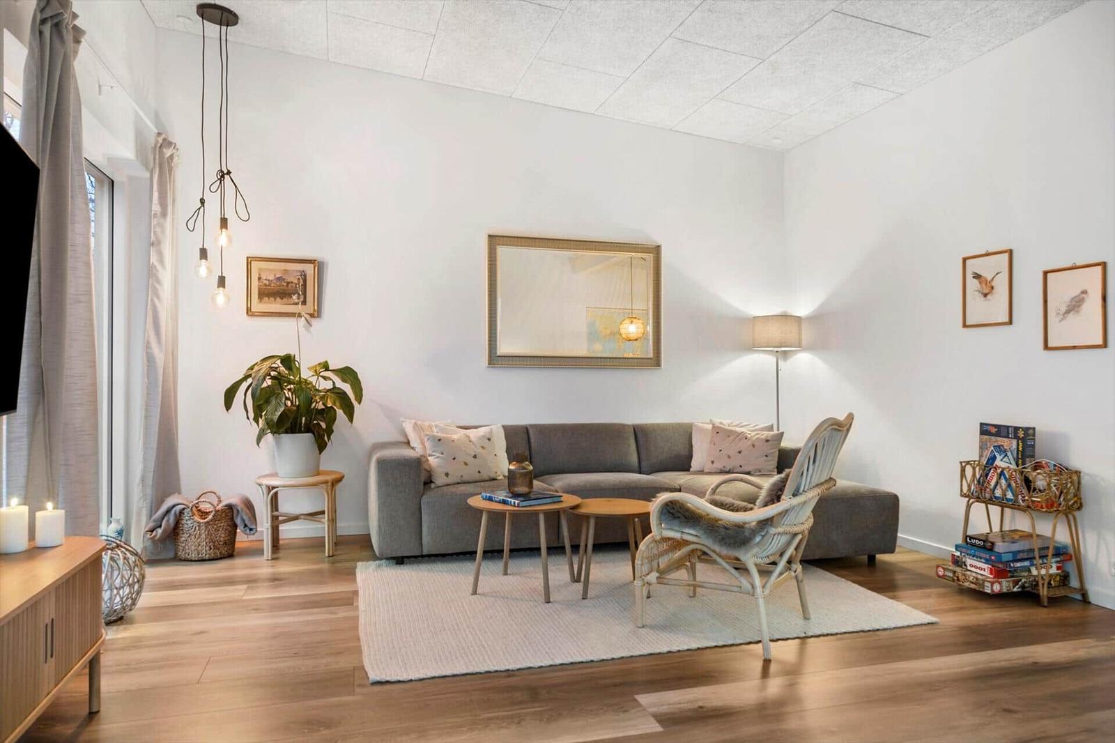 Living room with gray sofa, wooden furniture, and plant.