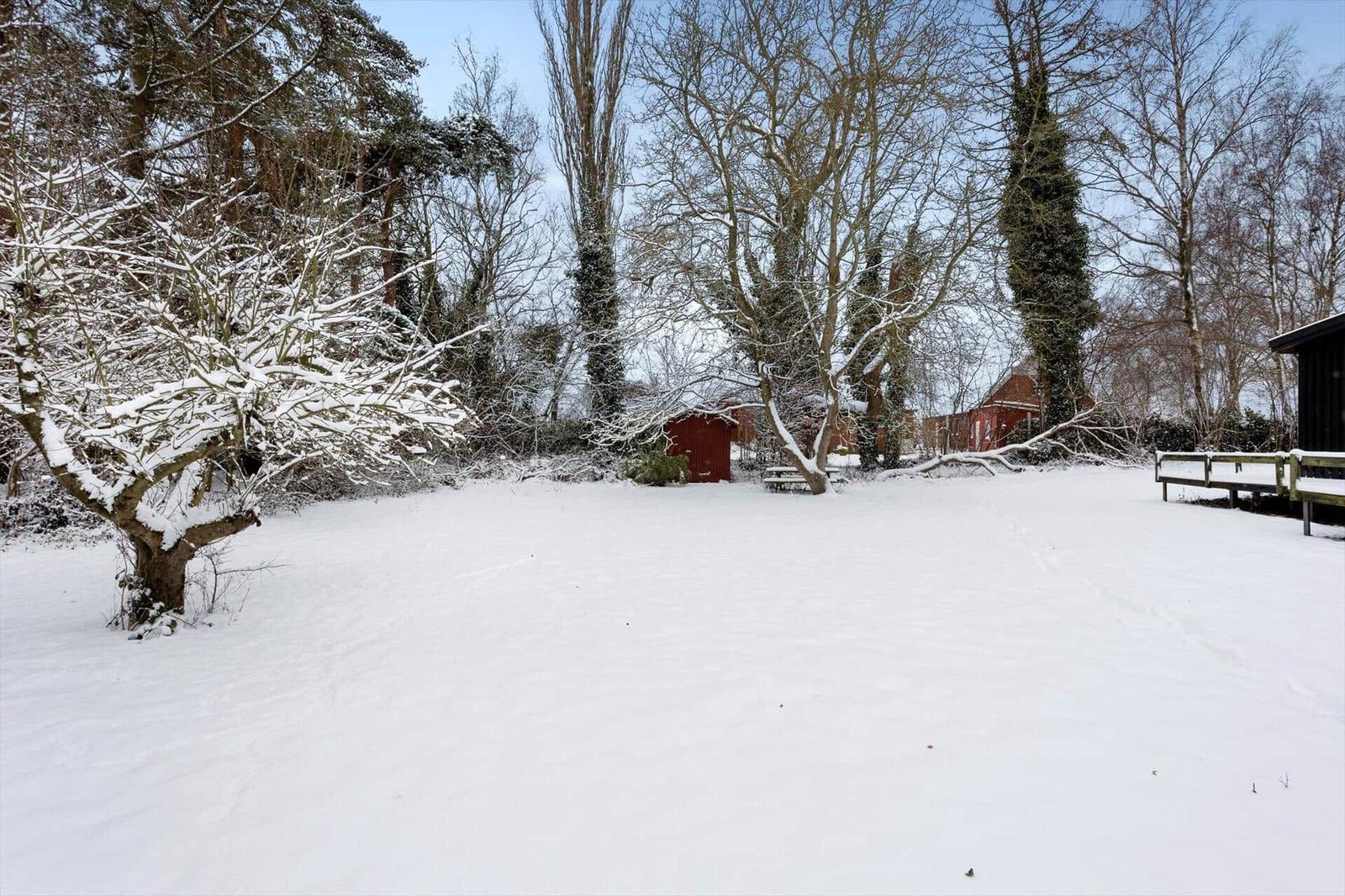 Snow-covered garden with trees and a red shed.