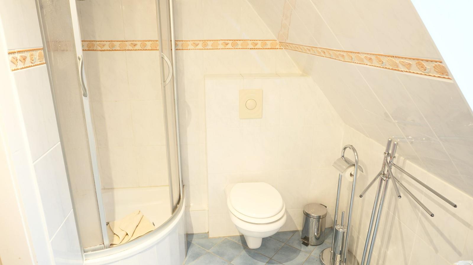 Badezimmer mit Dusche, Toilette und Handtuchhalter.