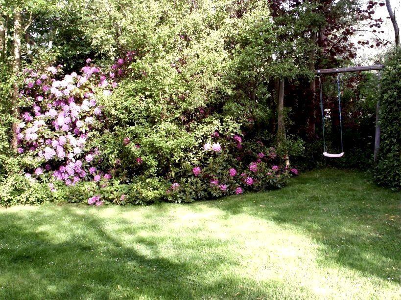 Garten mit Blumenhecke und Schaukel unter Bäumen.