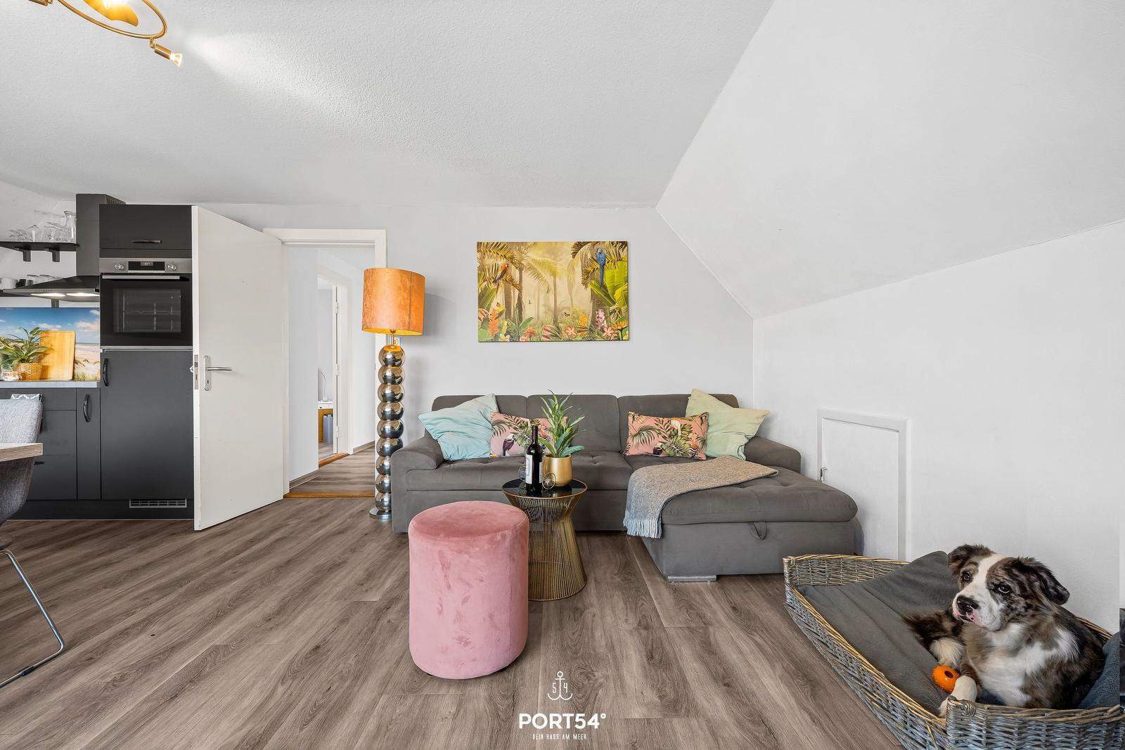 Wohnzimmer mit Sofa, Kissen und Hund im Korb. Küche im Hintergrund.